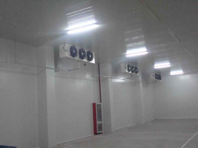Sao PauloWie hoch ist die Konstruktion und Installation der KühllagerungKlassifizierung und Funktion